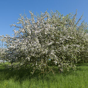 Sonderausstellung Land schafft Klang