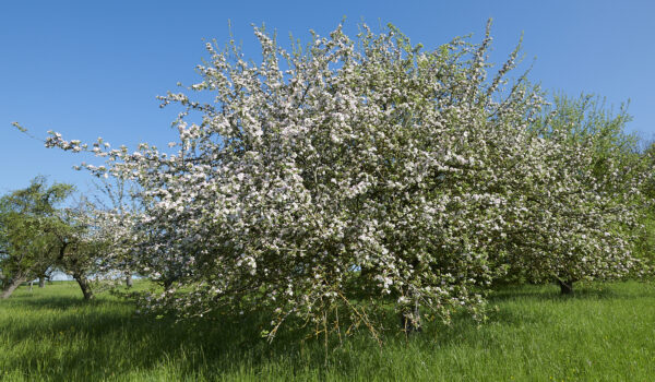 Sonderausstellung Land.schafft.Klang