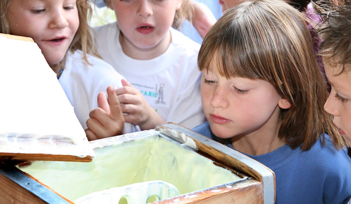 Buttern im Museum Buttern im Museum