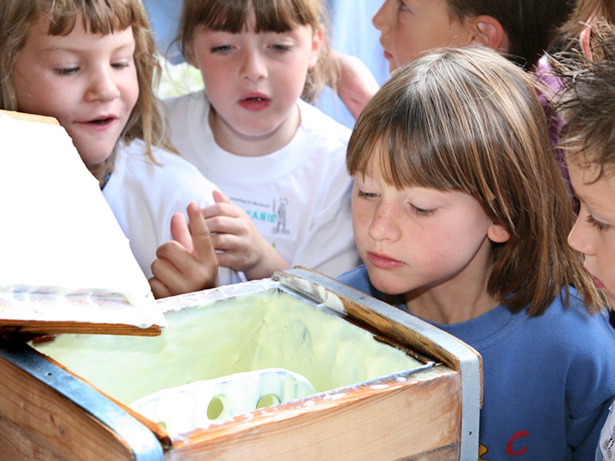 Buttern im Museum