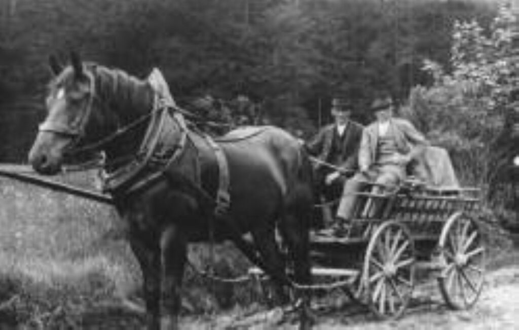 Ein klassisches Rosswagl Ein klassisches Rosswagl