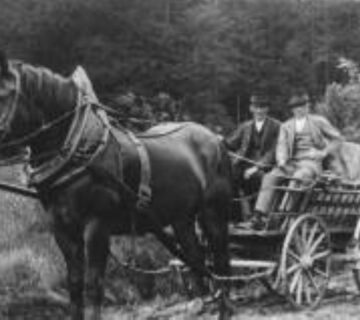 Ein klassisches Rosswagl