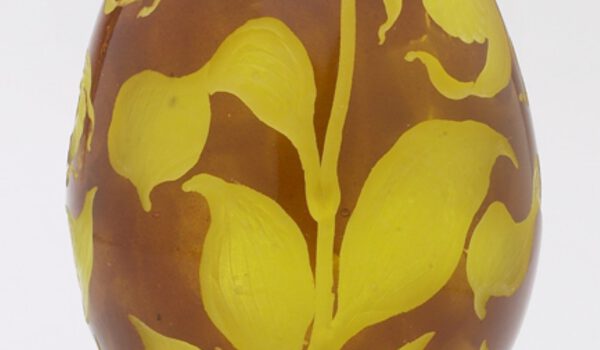 Frauenschuh in Eiform Frauenschuh in Eiform