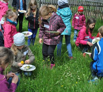 Fünf Kinder Kräuter