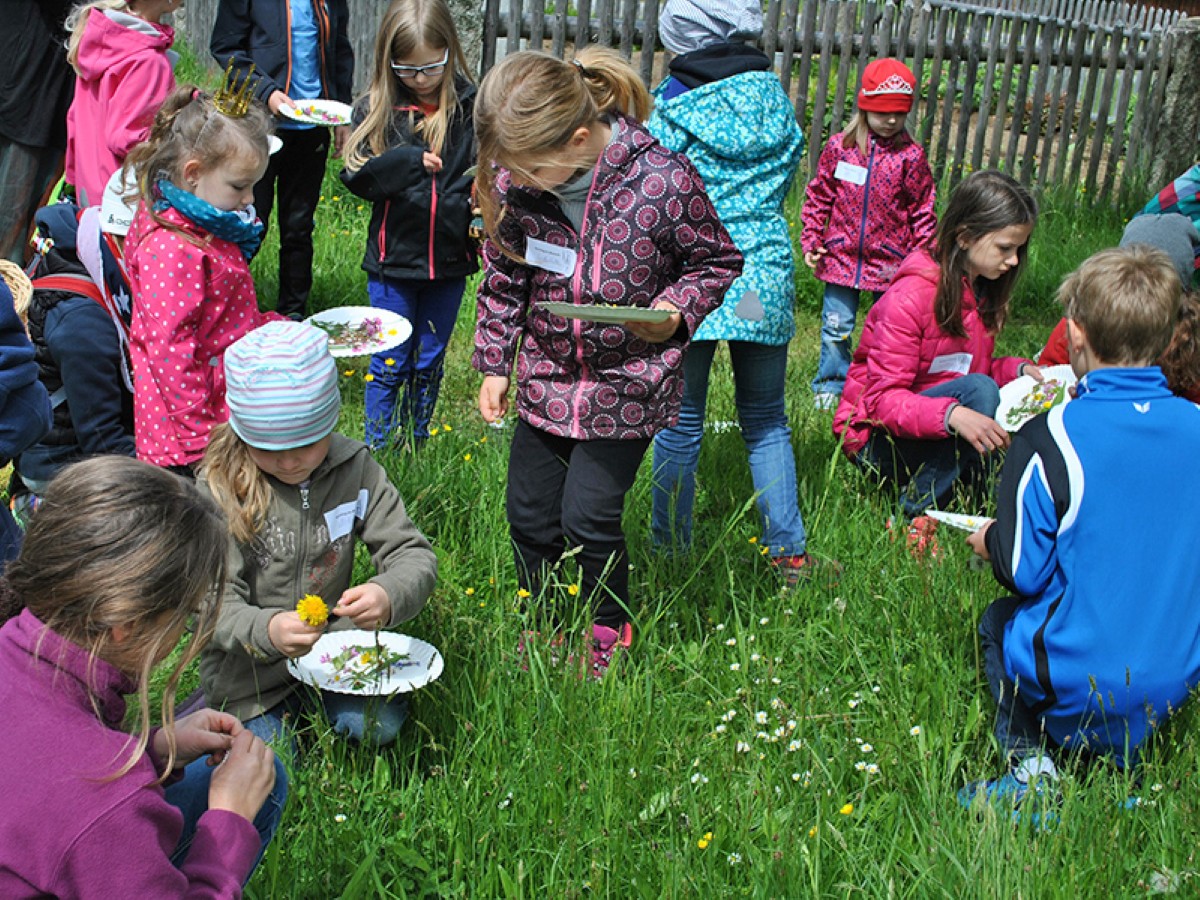 Fünf Kinder Kräuter