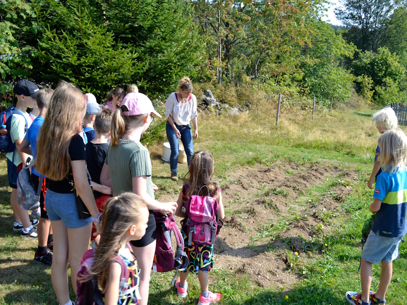 Mitmachaktion für Kinder