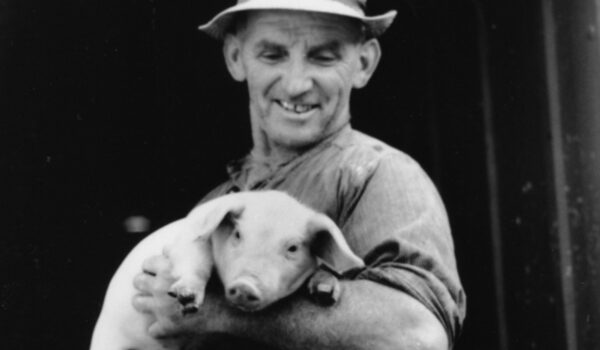 Nur für saubere kleine Schweine