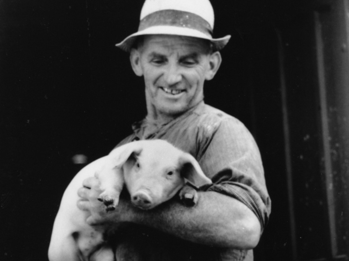 Nur für saubere kleine Schweine