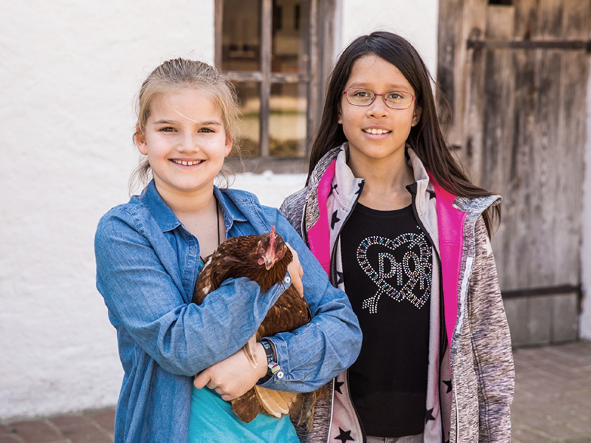 Unterrichtstag im Hühnerhof