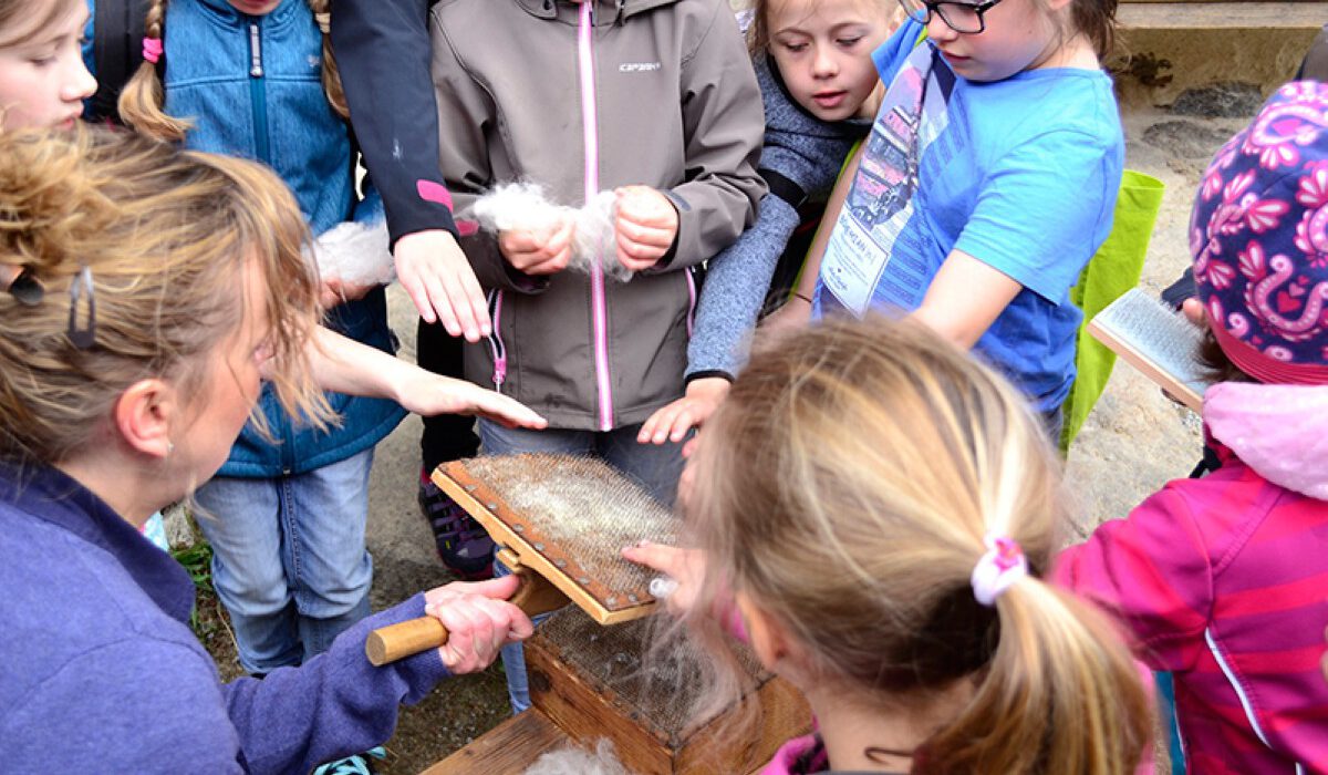 Vom Schaf zum Filzobjekt Vom Schaf zum Filzobjekt