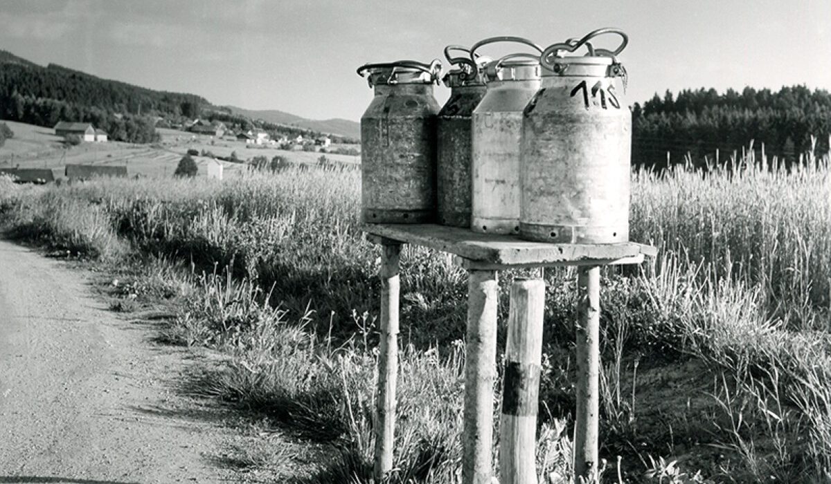 Von der Kuh bis zur Butter Von der Kuh bis zur Butter